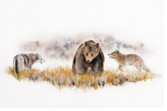 2023-07-11-23_24_52-LOUPS_2023_06_20