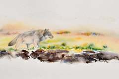 243386566_2931133890534318_2779009134343970930_n