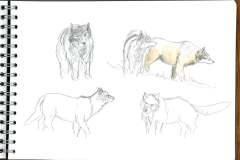 243399837_2931133877200986_8534485576467786734_n